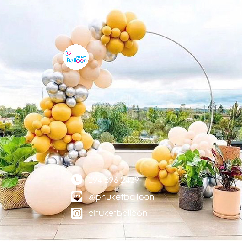Balloon Circle Arch Stand